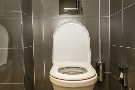 sanitair Complete toiletset